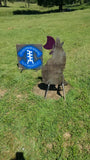 Freestanding Coyote Hostage